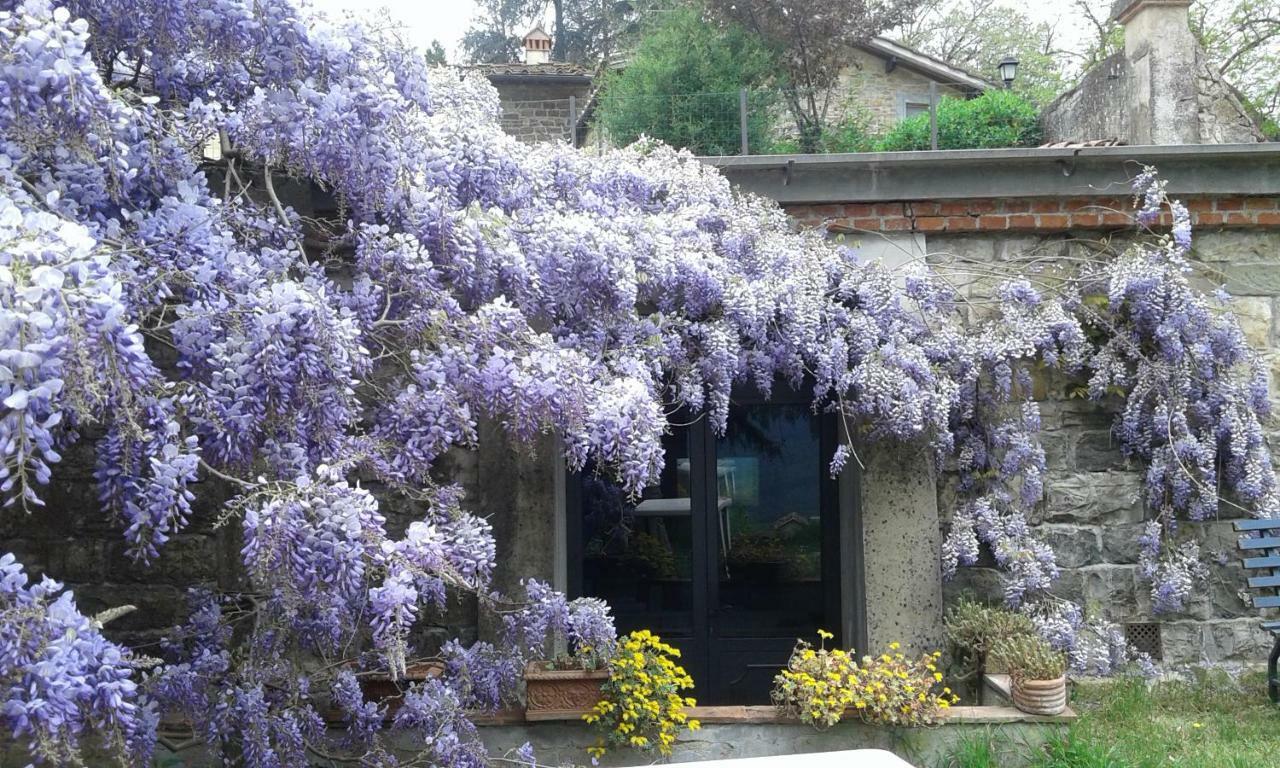 Ferienwohnung La Tinaia Del Glicine Pratolino Exterior foto